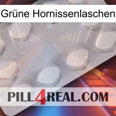 Grüne Hornissenlaschen 16